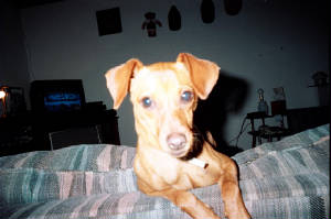 017_8a.jpg